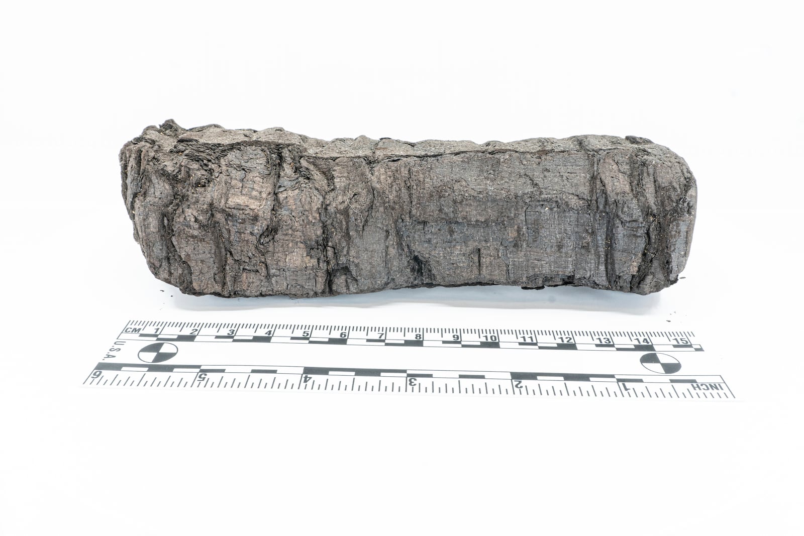 This undated image made available by Vesuvius Challenge shows a papyrus scroll as one of hundreds of papyrus scrolls found amid the remains of a lavish villa at the Roman town of Herculaneum, which along with neighboring Pompeii was destroyed when Mt. Vesuvius erupted in A.D. 79. (Vesuvius Challenge via AP)