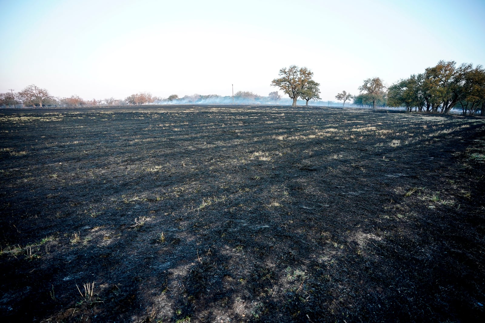 Gillespie County fields are charred following the Crabapple Wildfire over the weekend in Fredericksburg, Texas, Sunday, March 16, 2025. (Robin Jerstad/The San Antonio Express-News via AP)