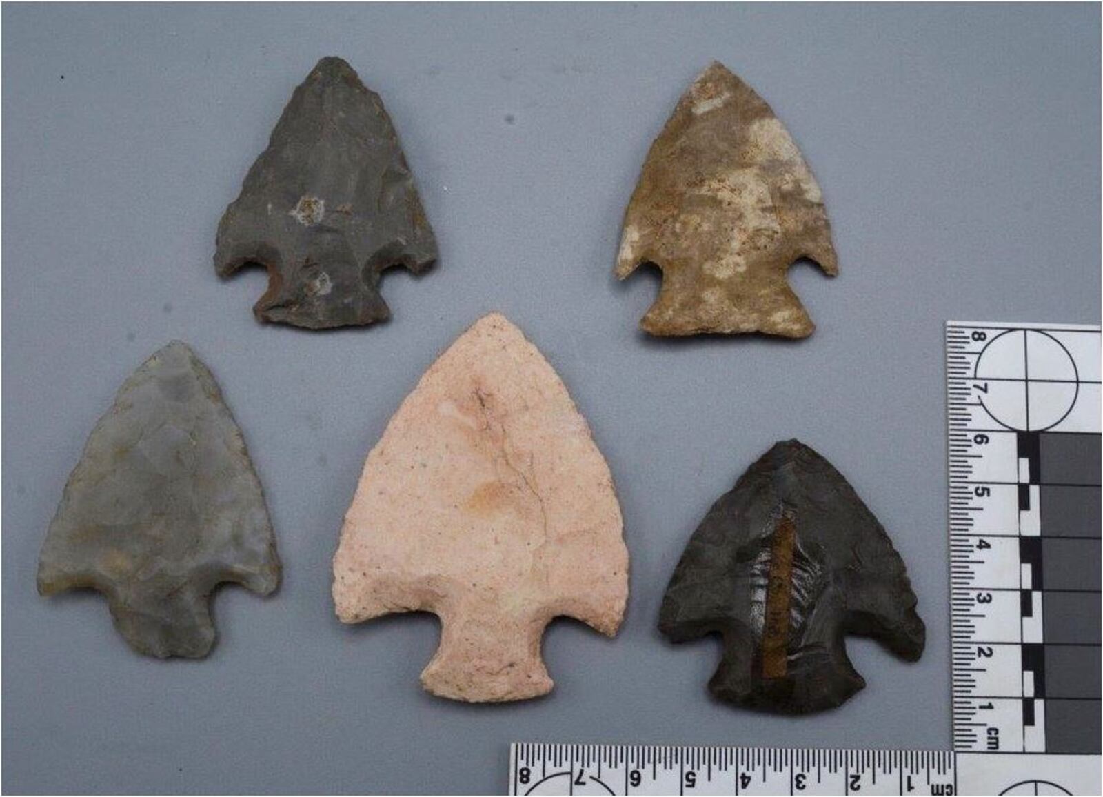 These Hopewell-era Native American arrowheads will be on display in the museum at Pyramid Hill Sculpture Park, where people can learn about the adjacent Fortified Hill mounds. These arrowheads were not found at Fortified Hill. PROVIDED