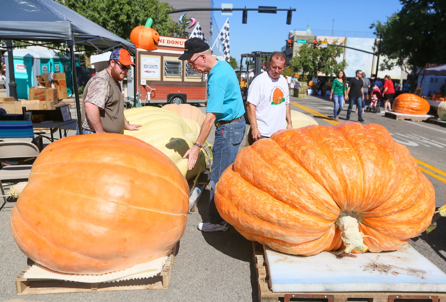 PHOTOS Operation Pumpkin through the years.