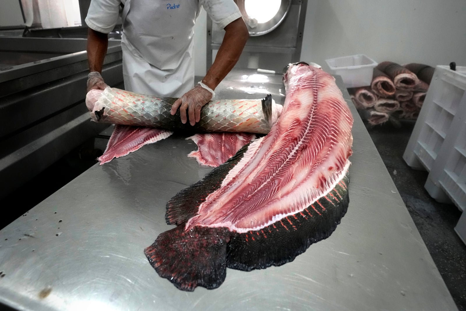 FILE - A man separates leather from the body of a pirarucu fish at industrial refrigeration factory of Asproc, Association of Rural Producers of Carauari, Amazonia, Brazil, Aug. 31, 2022. (AP Photo/Jorge Saenz, File)