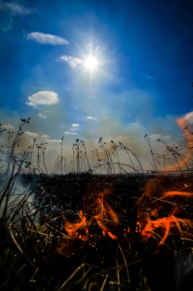 Controlled burns at Riverside Natural Area in Hamilton