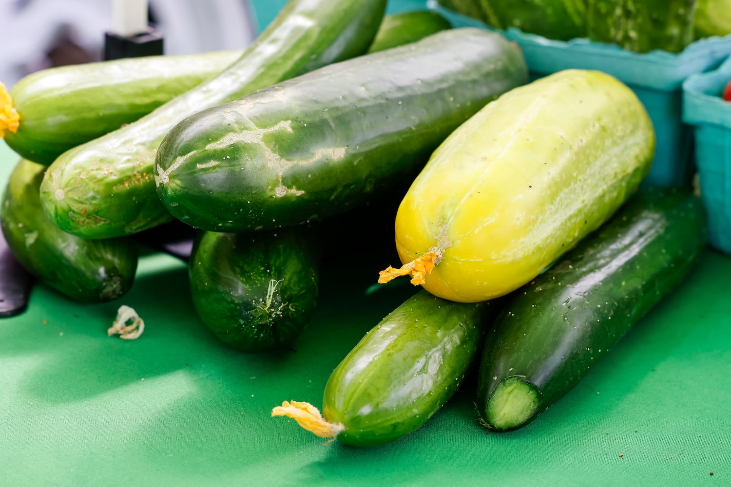 061423 Middletown Farmers Market