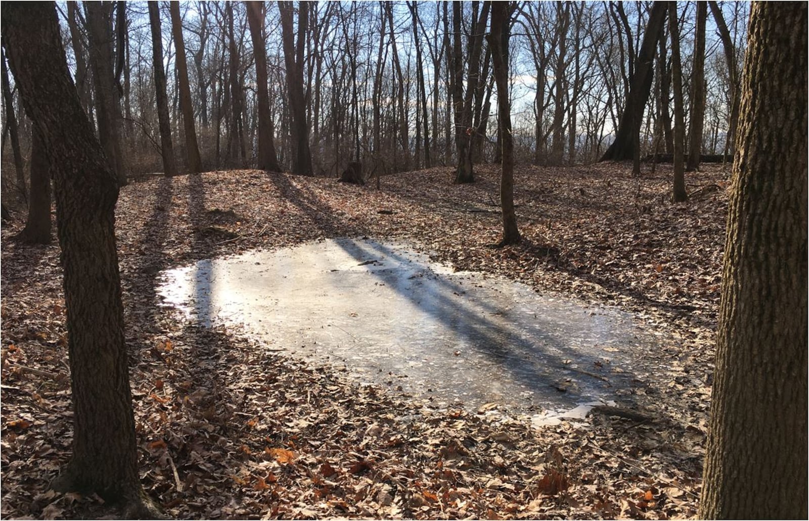 A frozen pond recently at the Native American mounds in Ross Township that have been known as Fortified Hill since the early 1800s. Experts believe small ponds there were important to the ceremonial location. PROVIDED