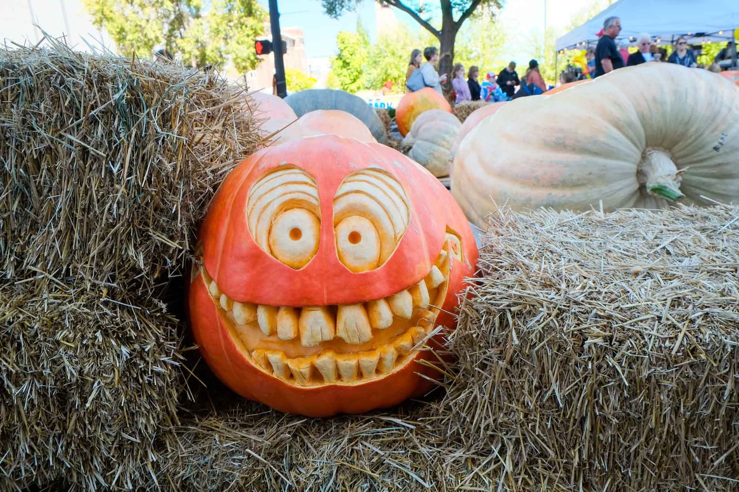 PHOTOS: Did we spot you at the Operation Pumpkin festival in Hamilton this weekend?