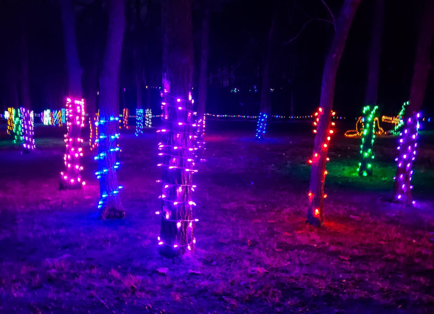 Fort Saint Clair Whispering Christmas light display in Eaton