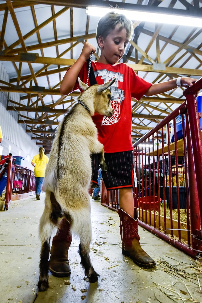 Scenes from the Butler County Fair 2019