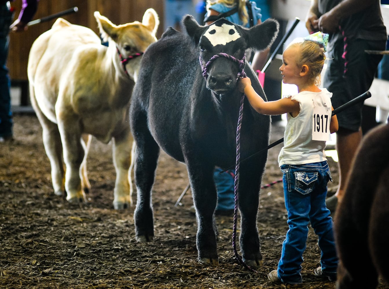 Scenes from the Butler County Fair 2019