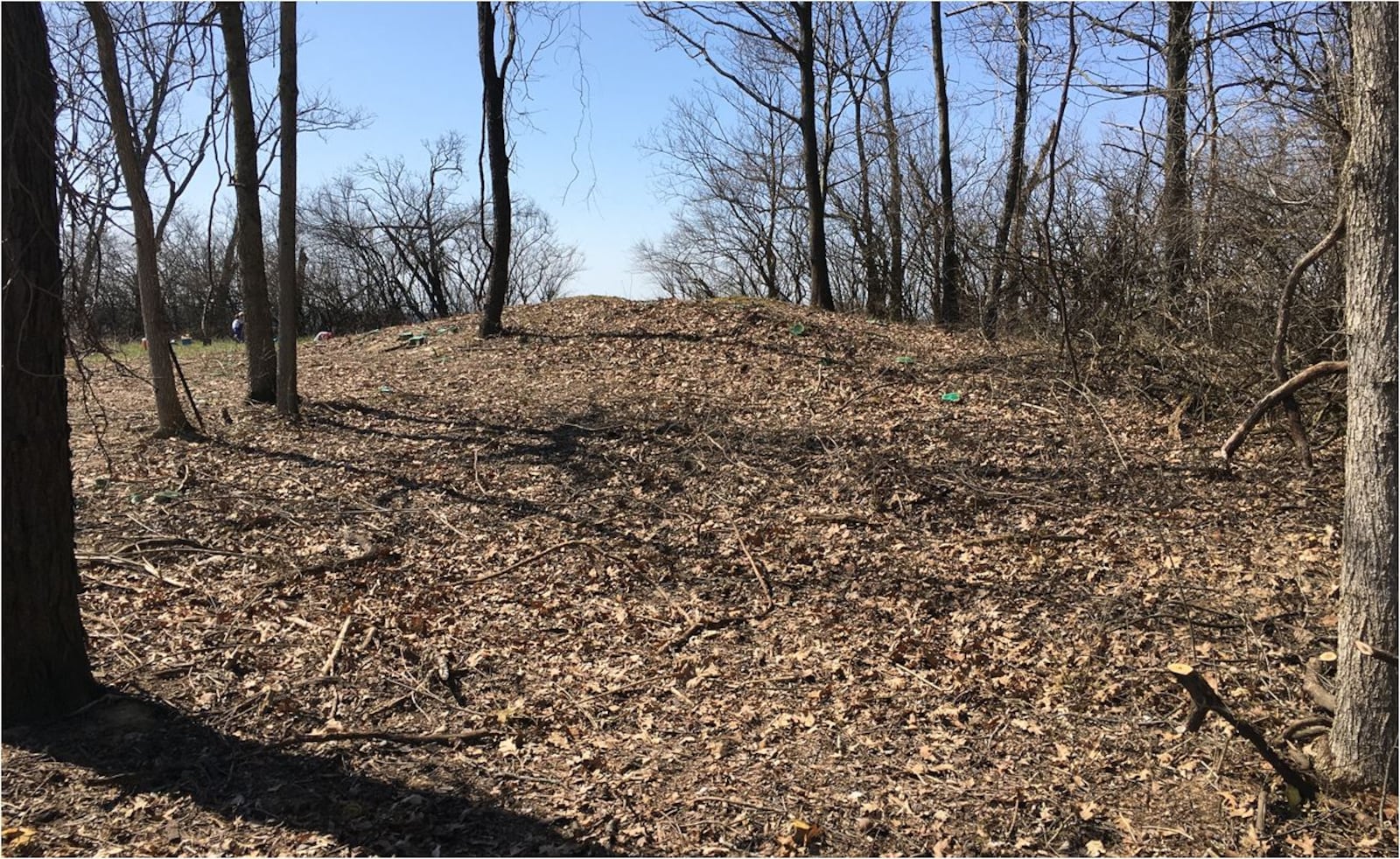 A mound that is part of the Native American ceremonial grounds in Ross Township that have been known as Fortified Hill since the early 1800s. PROVIDED