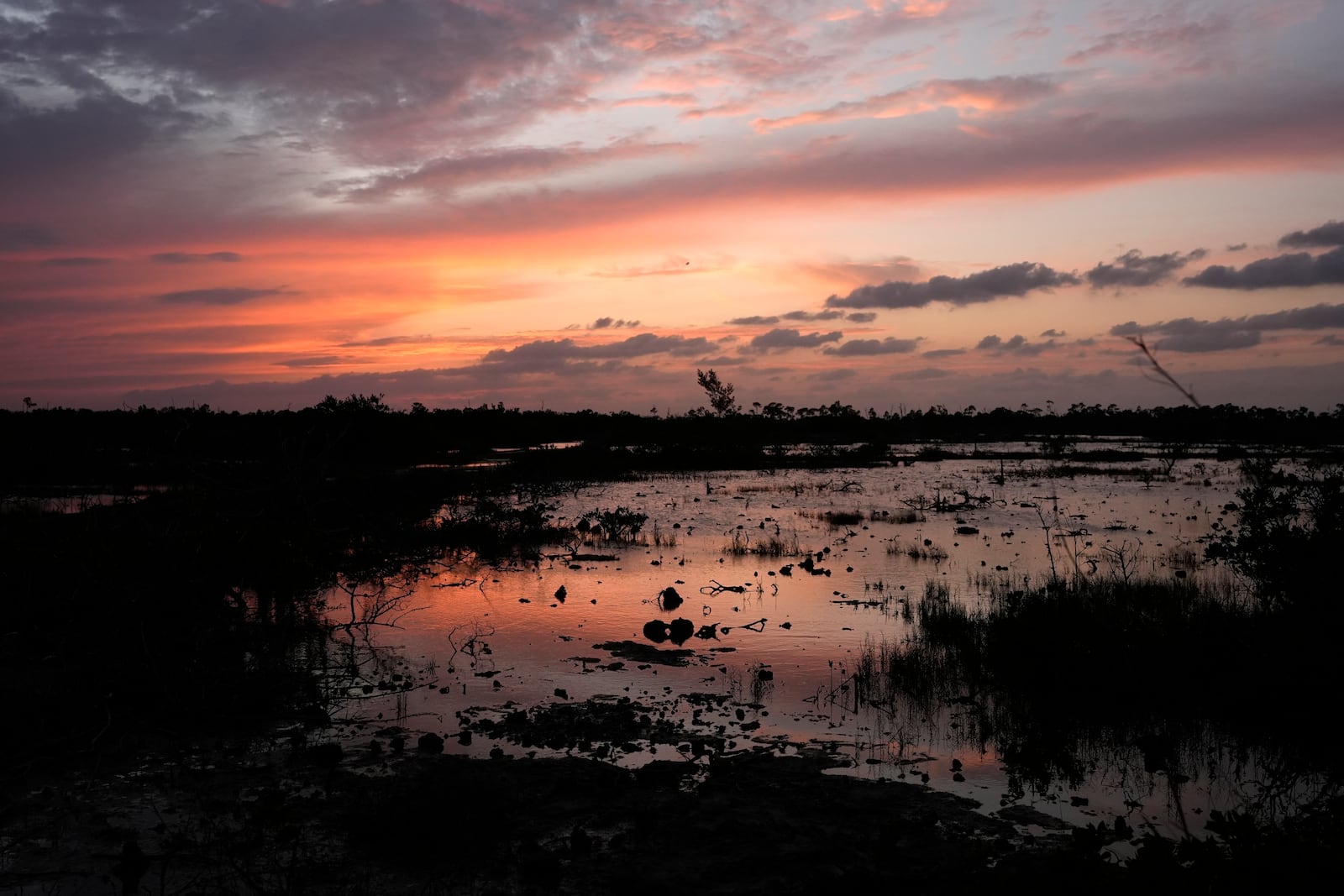 FILE - The sun sets over the marshy wetlands of the Florida Keys, Oct. 17, 2024, in Big Pine Key, Fla. (AP Photo/Lynne Sladky, File)