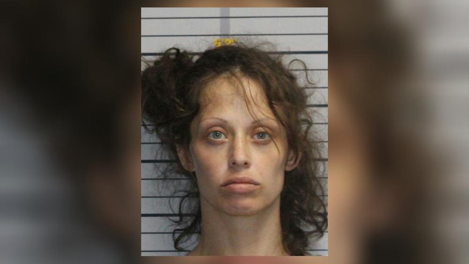 Nicole Hibbard-Doyle, 32, of Hamilton, was arrested in May and indicted in July on 10 counts of grand theft, all felony charges, after she and her boyfriend, Jason Kosher, 49, of Hamilton, allegedly stole 10 cars from a car lot. They were in court on July 23, and are expected to be released on bonds. They are set to appear back in court for either a plea or trial setting on Aug. 27. PROVIDED/BUTLER COUNTY