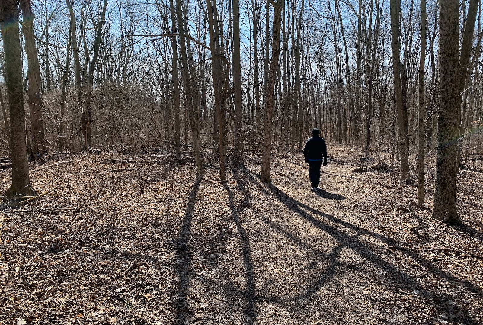 The former Argonne Forest Park , popular in Dayton during the 1930s, was located on the current site of Possum Creek MetroPark. Remnants of the park can still be found but most of the history has disappeared into the forest. LISA POWELL / STAFF