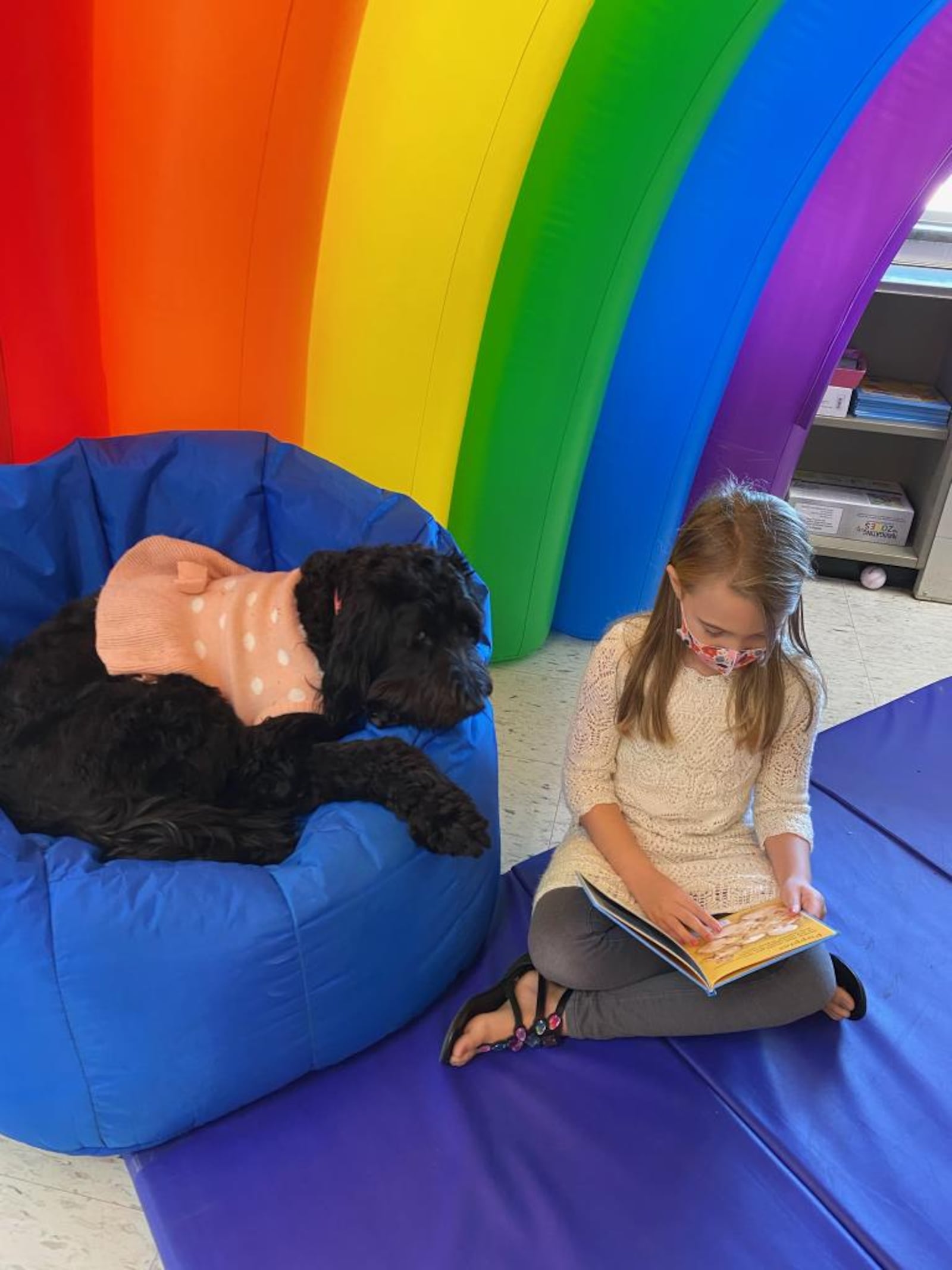 Kings Schools now have three therapy dogs in its schools to help relieve some of the stress brought on by trying to learn during the coronavirus. Many students enjoy reading to the dogs, which enhances student reading and verbal skills. (Provided Photo\Journal-News)