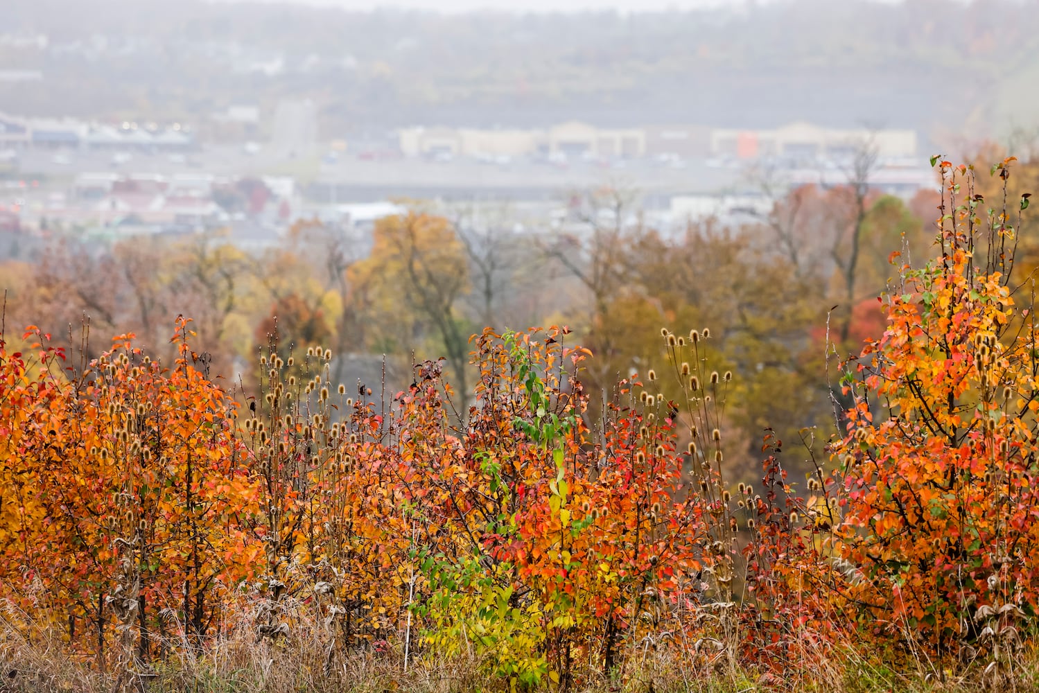 102622 fall colors butler county