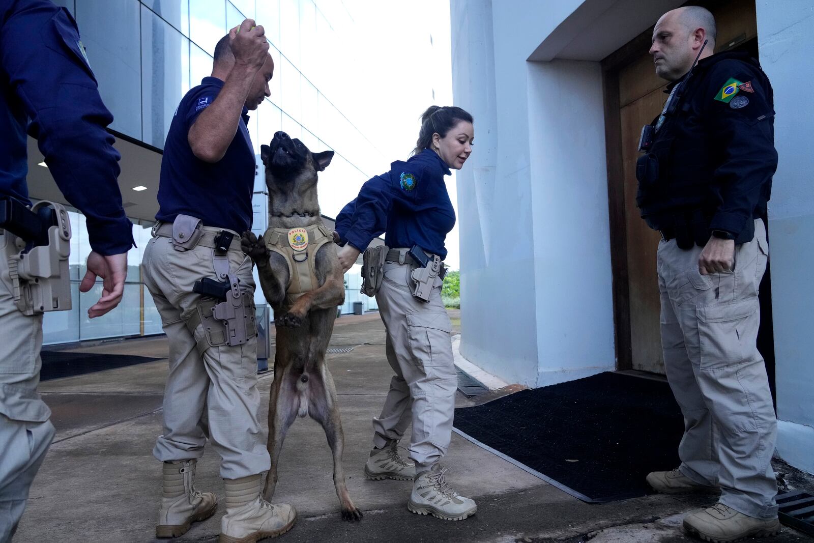 Security agents use a dog to sweep the Supreme Court building in Brasilia, Brazil, Tuesday, March 25, 2025, before the trial starts for Brazil's former President Jair Bolsonaro. (AP Photo/Eraldo Peres)