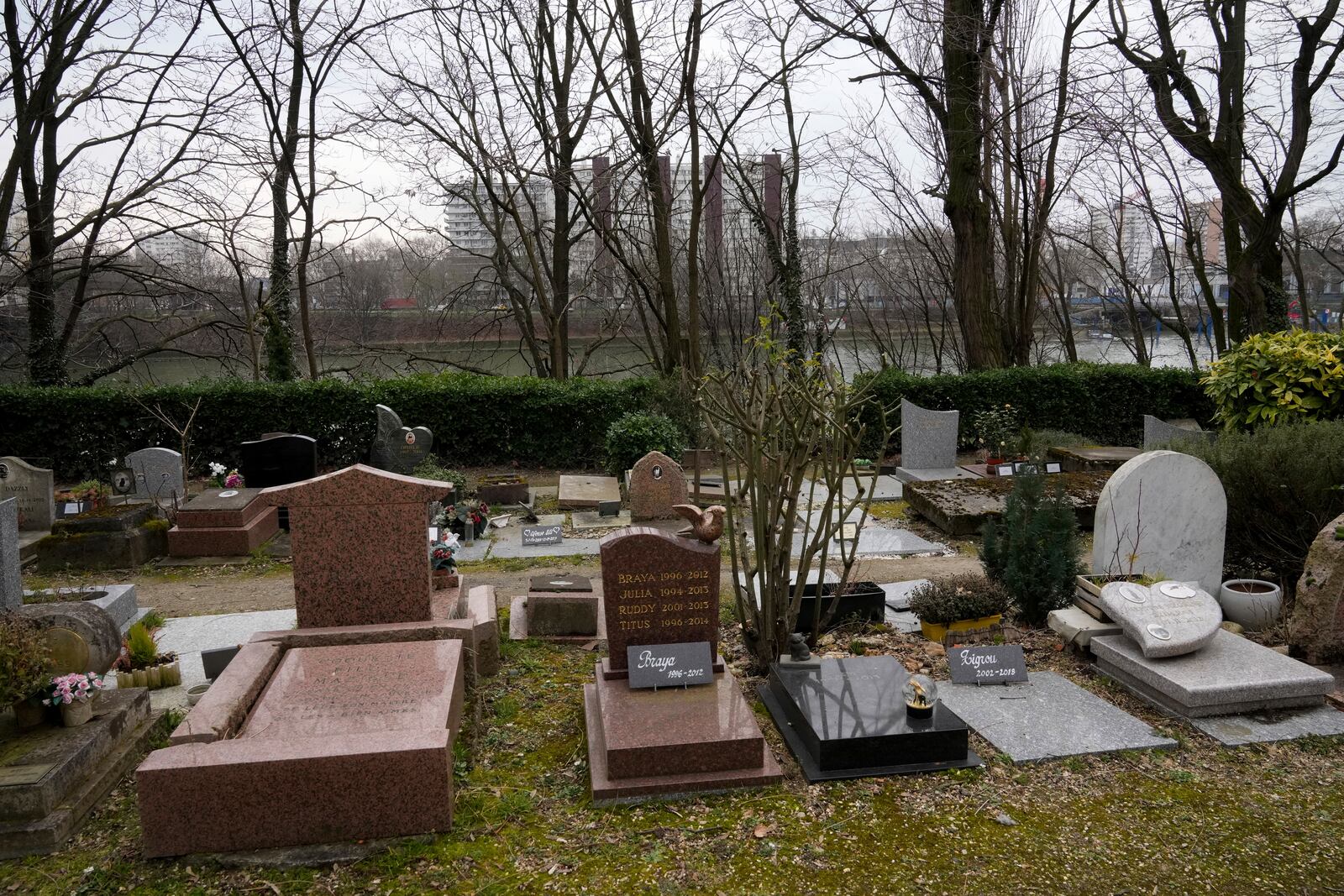 The pet cemetery of Asnieres-sur-Seine, west of Paris, Friday, Feb. 21, 2025. (AP Photo/Michel Euler)