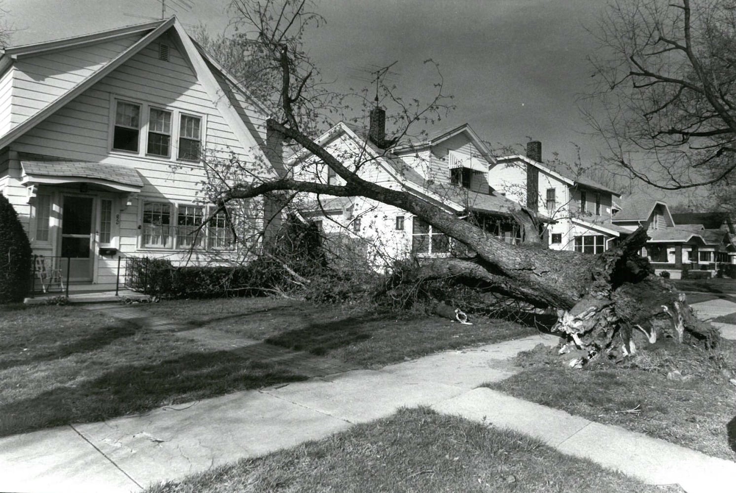 Weather through the years