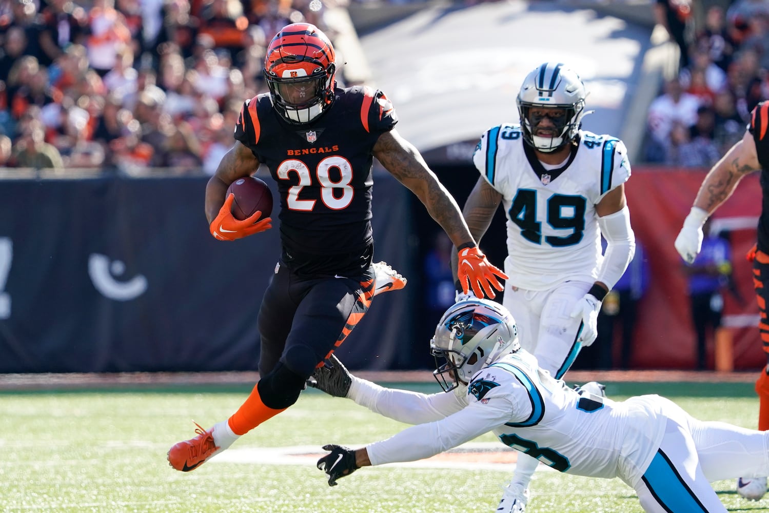 Panthers Bengals Football