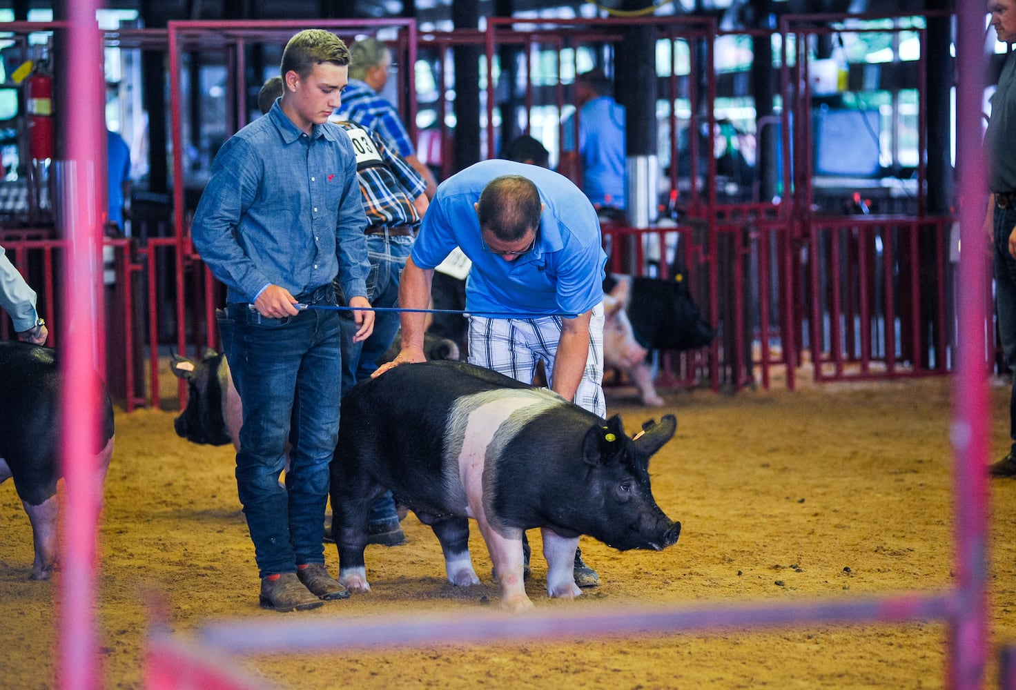 Scenes from the Butler County Fair 2019