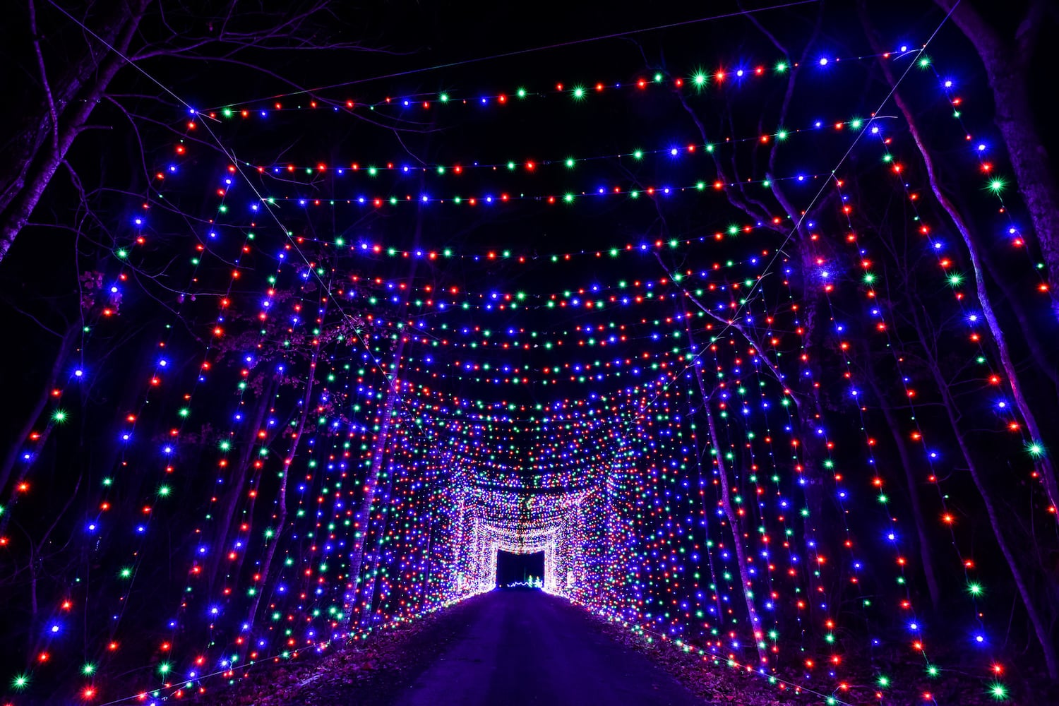 Land of Illusion Christmas Glow