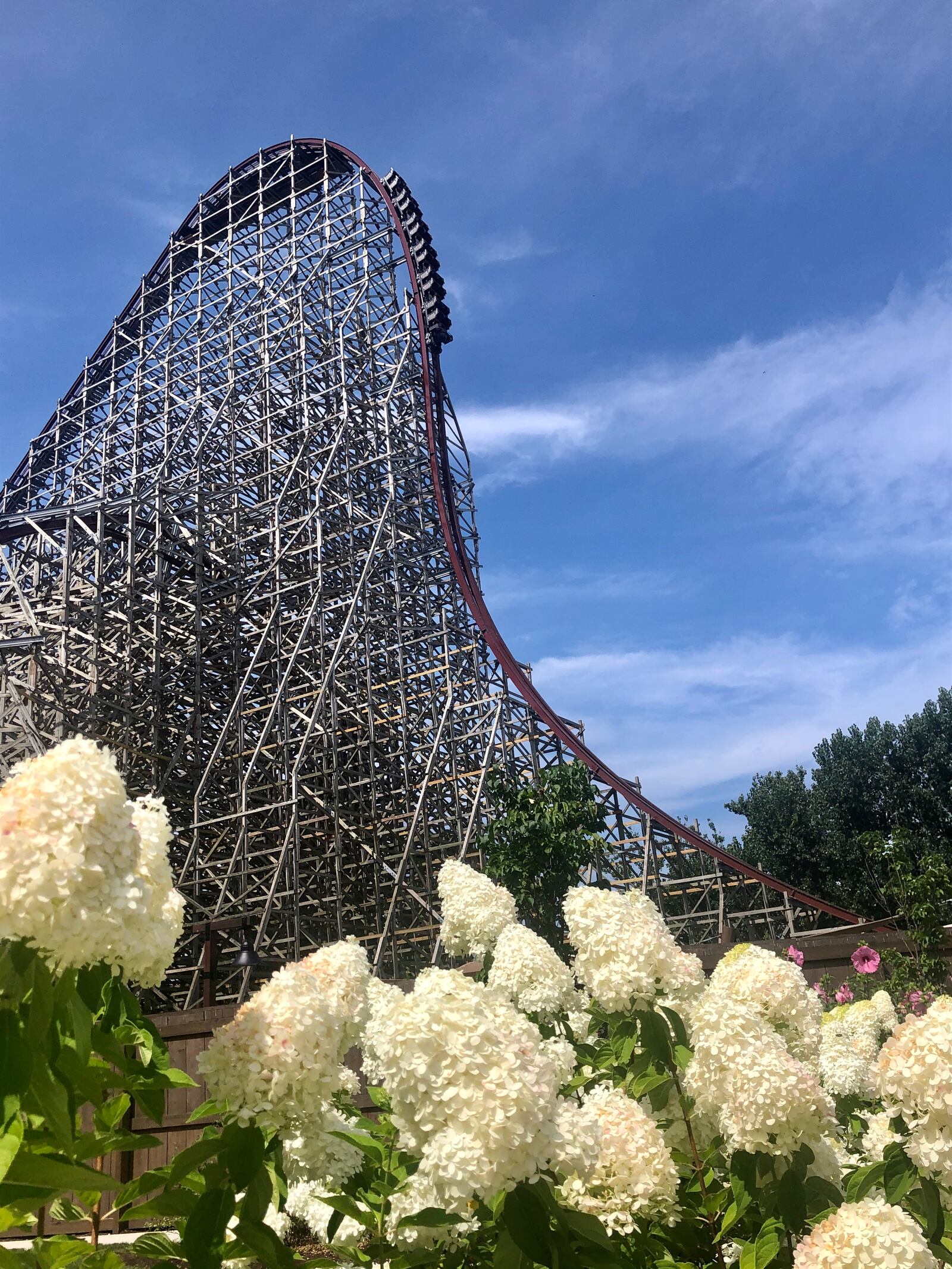 Cedar Point's Steel Vengeance hybrid coaster plummets riders 200 feet at 90 degrees at 74 miles per hour - Debbie Juniewicz