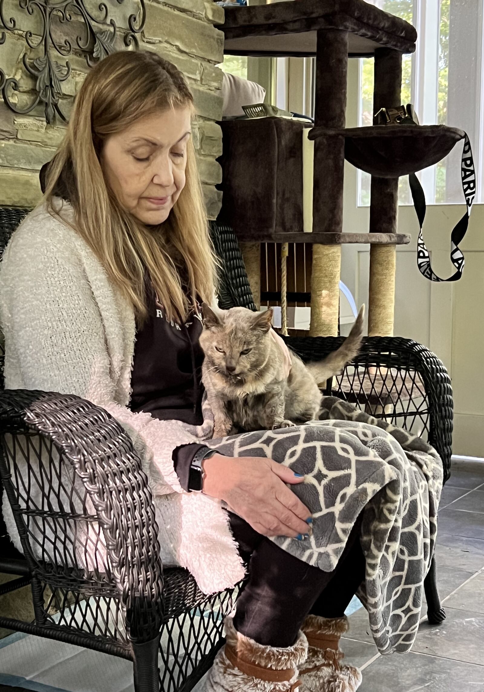 Cindi Byrge, a founding volunteer for the Oxford Catty Shack, opens her home to rescued cats and kittens. CINDI BYRGE/CONTRIBUTED