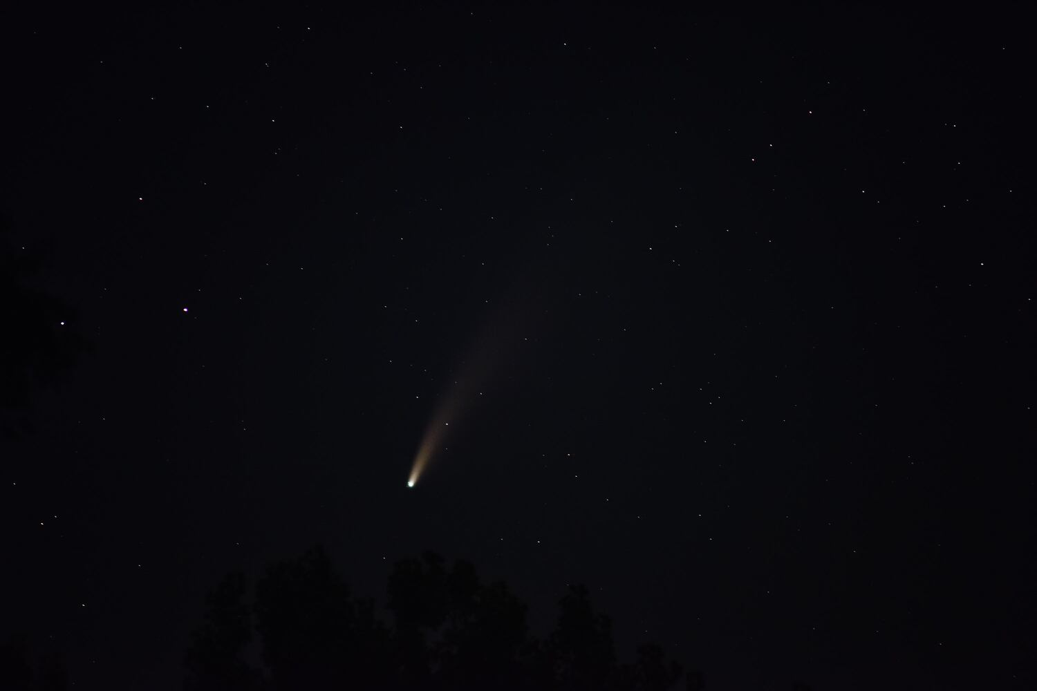 NEOWISE comet visible in the night sky