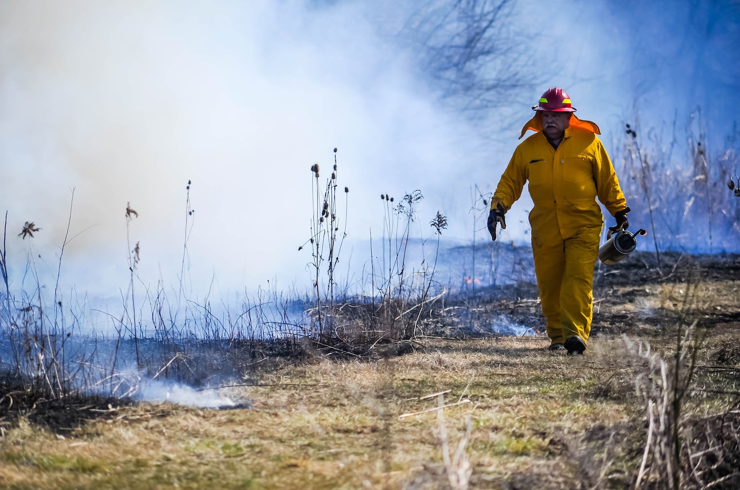 Controlled burns at Riverside Natural Area in Hamilton