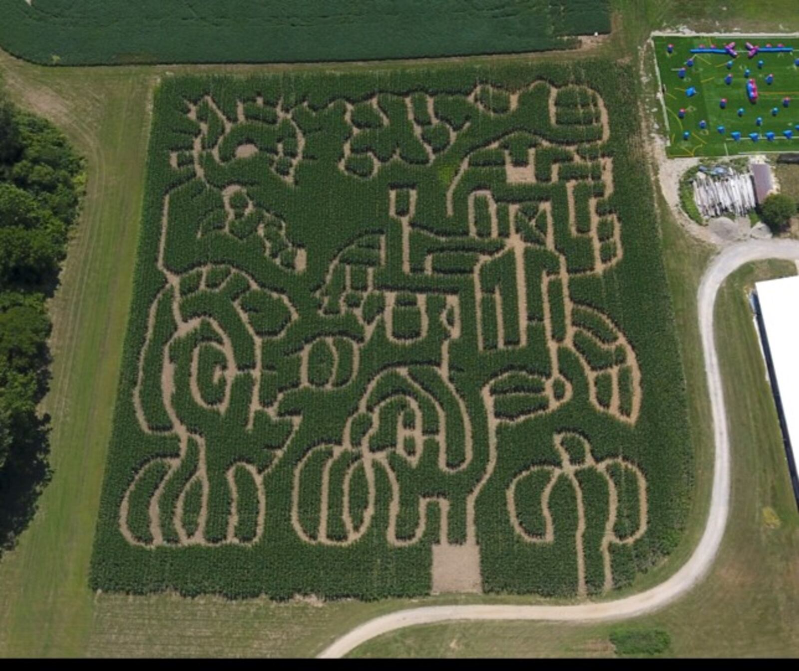 The Niederman Family Farm corn maze for 2017 looks challenging.