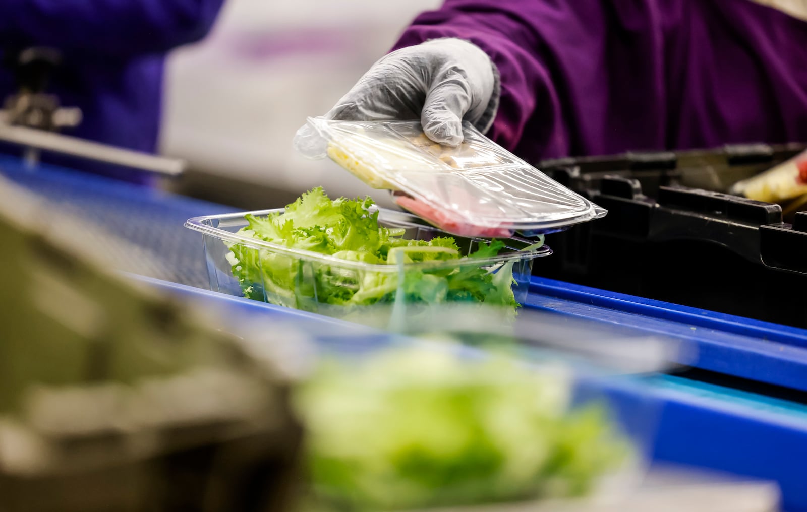 Employees work to plant, harvest and package lettuce and microgreens at vertical farming company 80 Acres Farms Friday, Feb. 9, 2024 at their facility on Enterprise Park Drive in Hamilton. NICK GRAHAM/STAFF