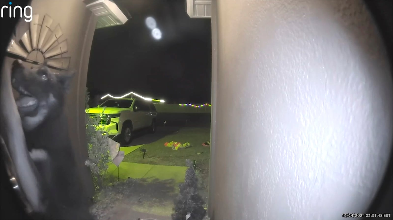 In this image from video provided by Brooke Comer, Athena, a 4-year-old German shepherd and husky mix, approaches the video doorbell of Comer's home in Green Cove Springs, Fla., on Christmas Eve, Tuesday, Dec. 24, 2024. (Brooke Comer via AP)