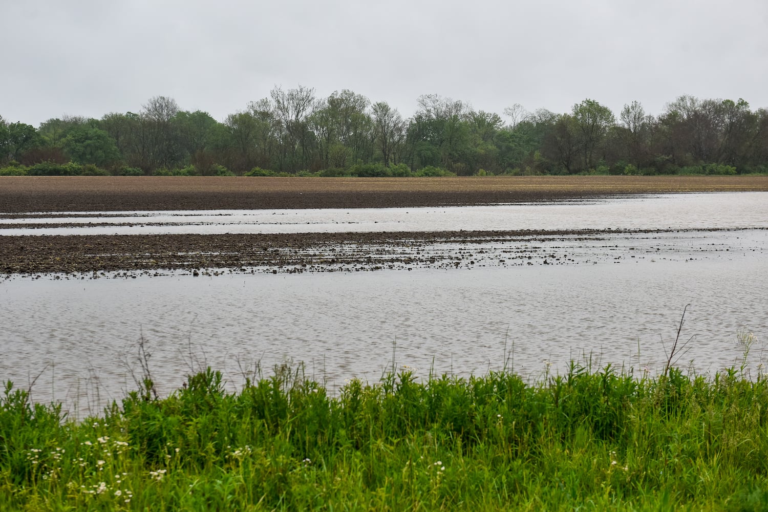 PHOTOS: Heavy rain causes flooding in Butler County