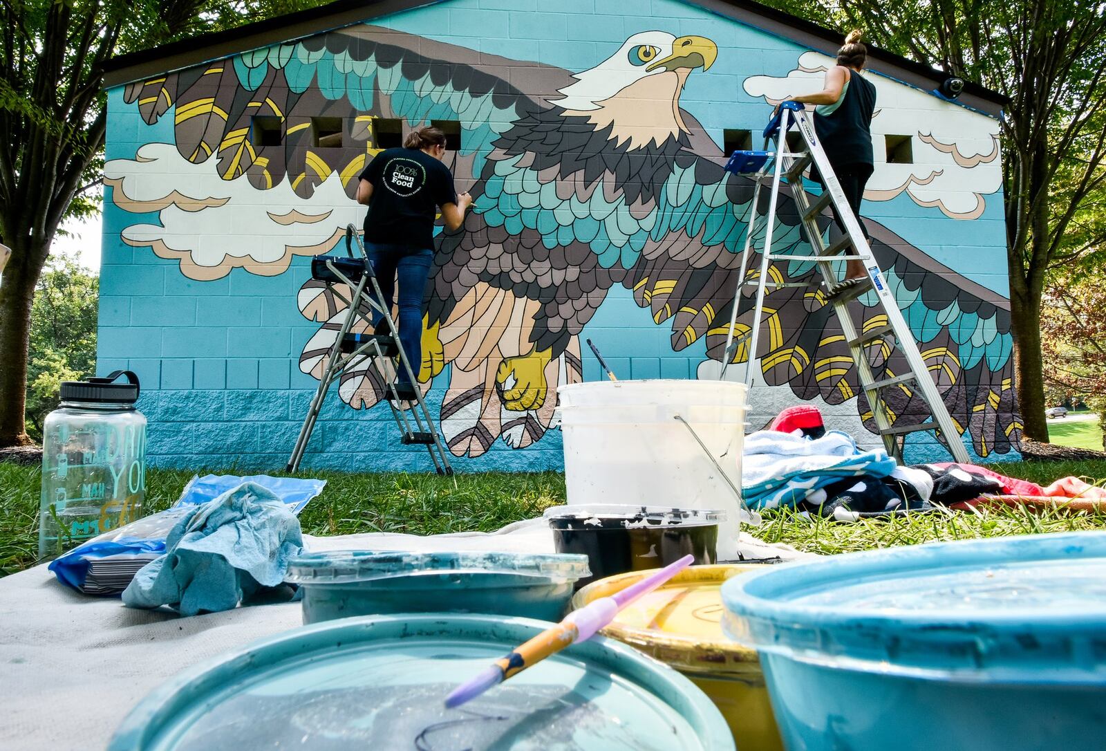 New murals in Hamilton parks all represent Ohio birds and were made possible from an anonymous donation to the Hamilton Parks Conservancy from a community member. NICK GRAHAM/STAFF