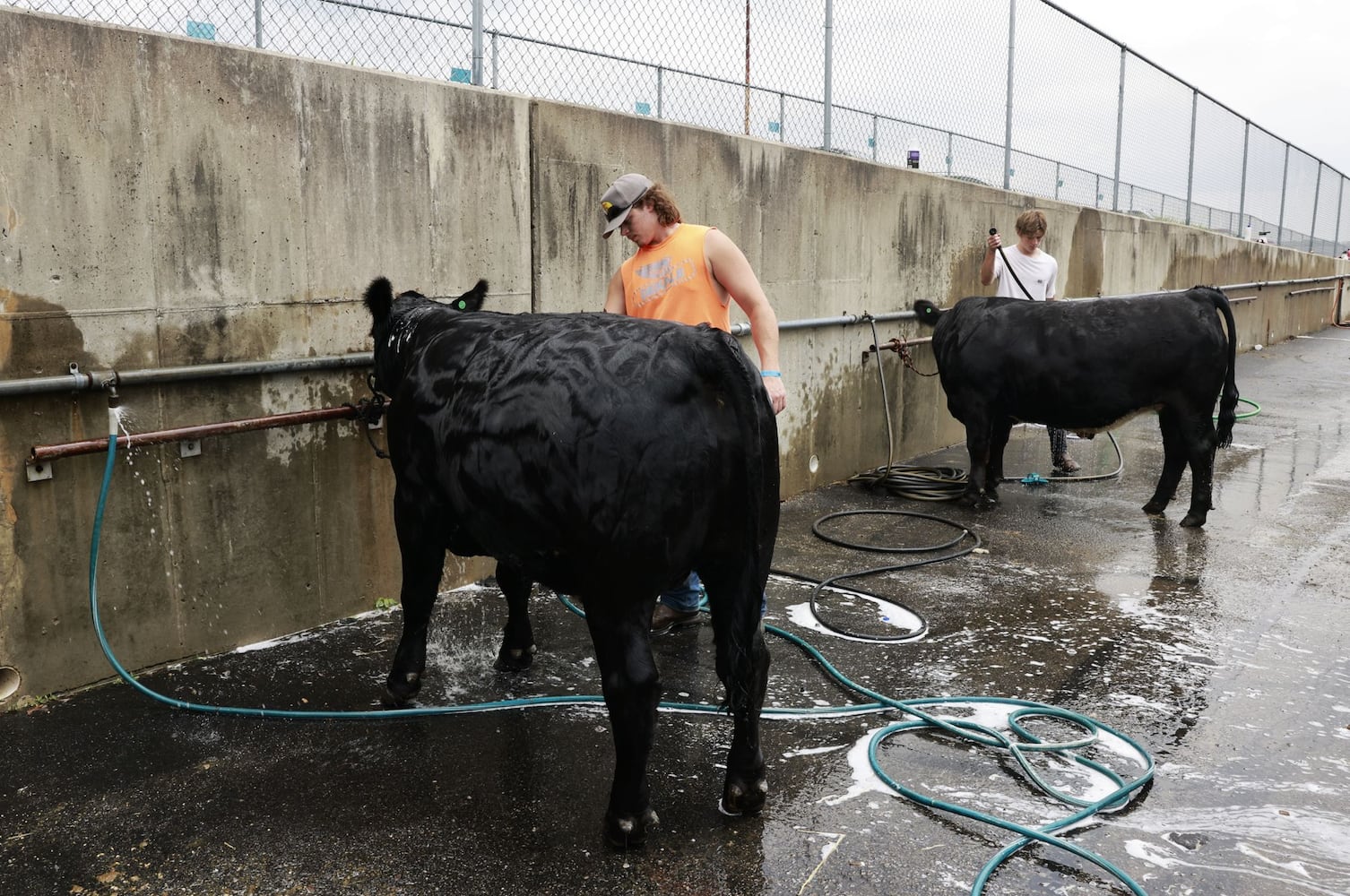 071923 Warren County Fair