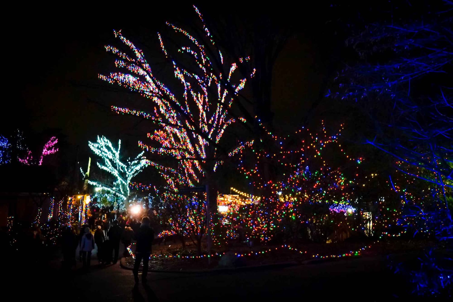 PHOTOS Cincinnati Zoo Festival of Lights 2019