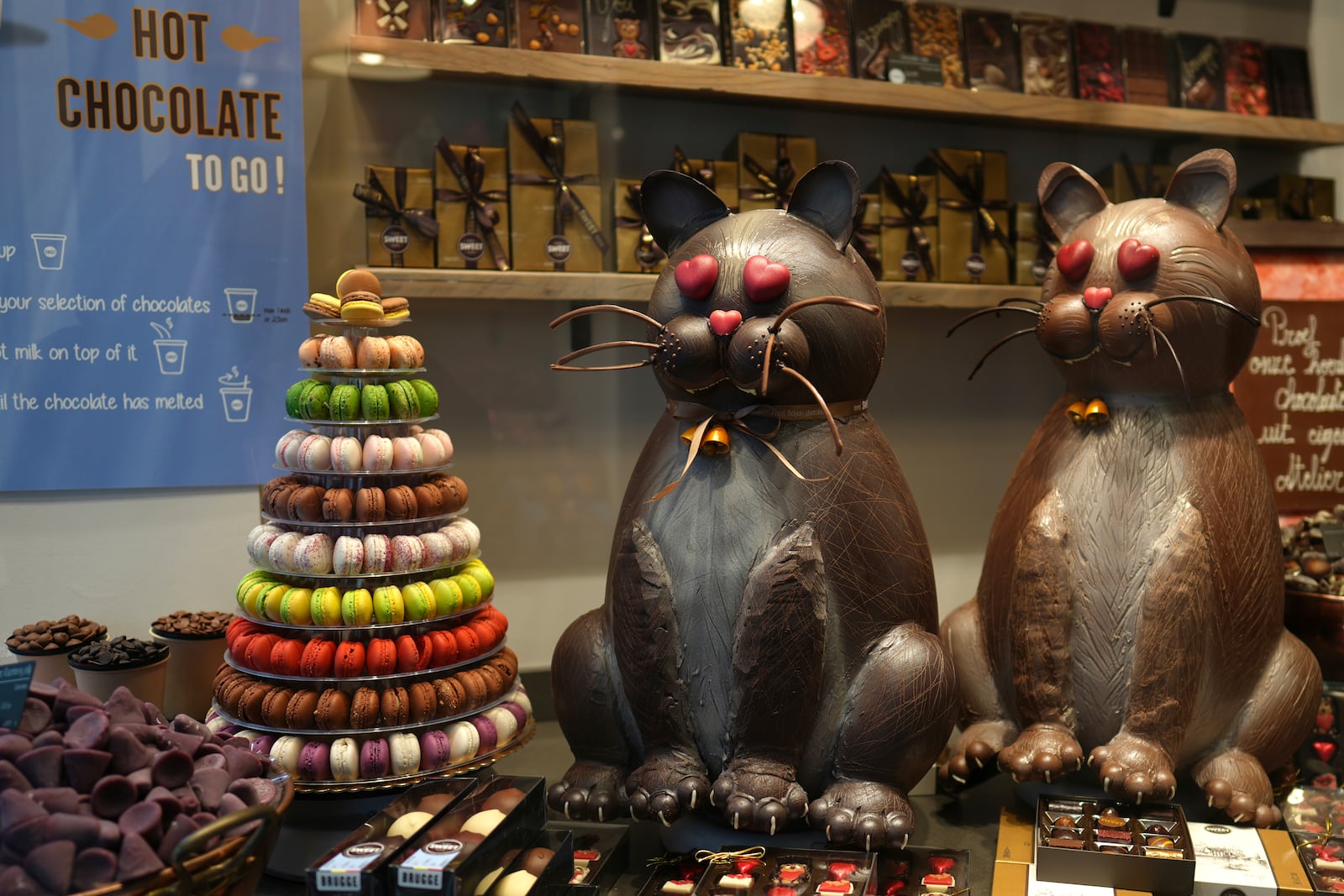 Two large cats made of Chocolate are on display in a window in Bruges, Belgium, Thursday, Feb. 6, 2025. (AP Photo/Virginia Mayo)