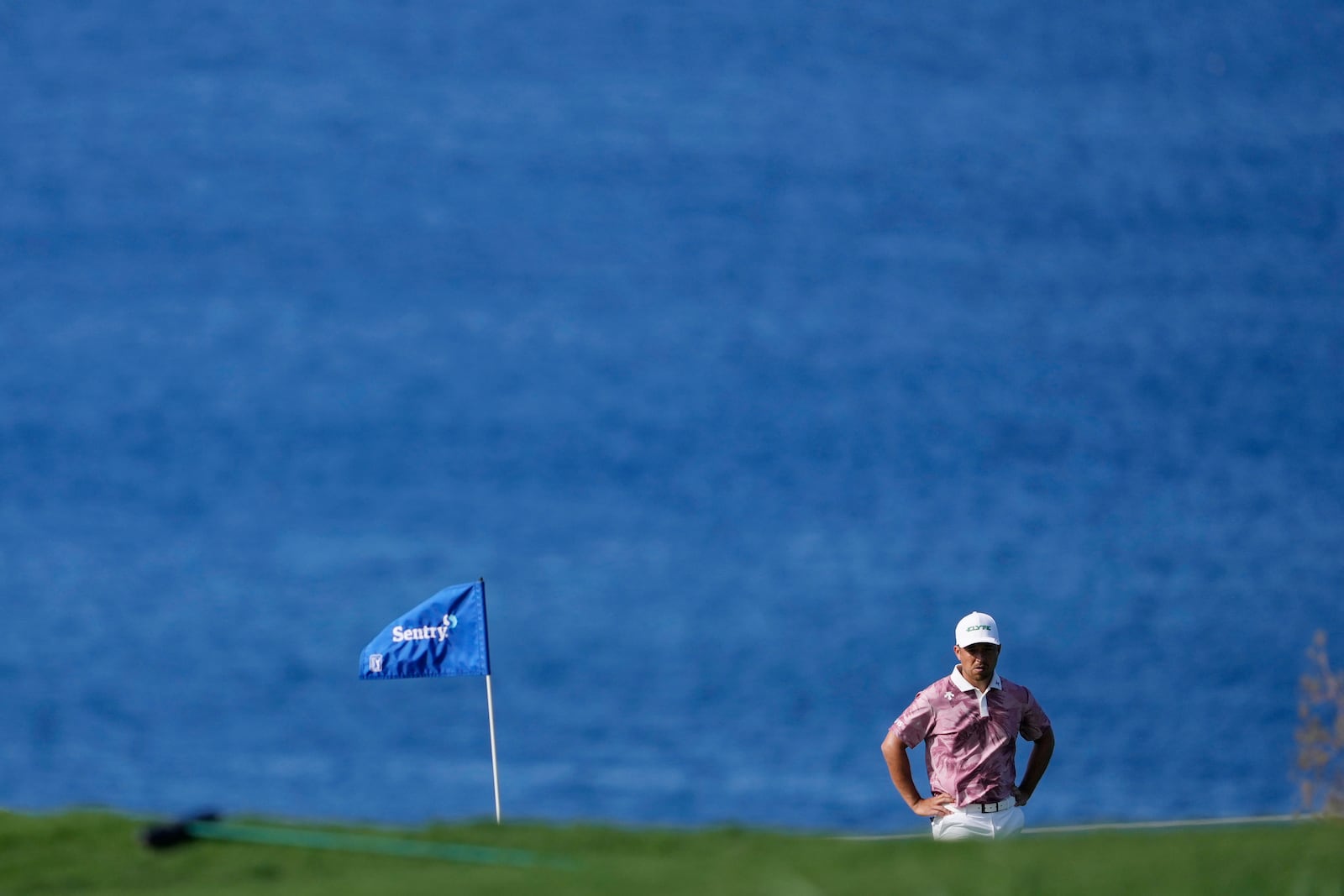 Xander Schauffele waits to hit at the 12th hole during the second round of The Sentry golf event, Friday, Jan. 3, 2025, at the Kapalua Plantation Course in Kapalua, Hawaii. (AP Photo/Matt York)