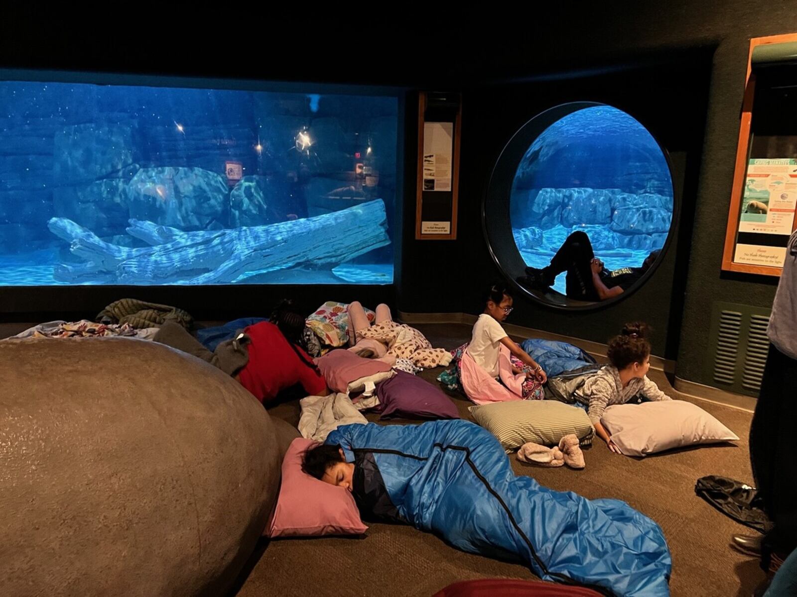 Some Rosa Park Elementary students recently got to spend a night sleeping with manatees at the Cincinnati Zoo. The unusual overnight field trip, which saw youngsters sleeping inside a special, wide-window viewing room next to the manatees’ aquarium tank is part of a school leadership program designed to enhance the learning of youngsters at the Middletown school. CONTRIBUTED