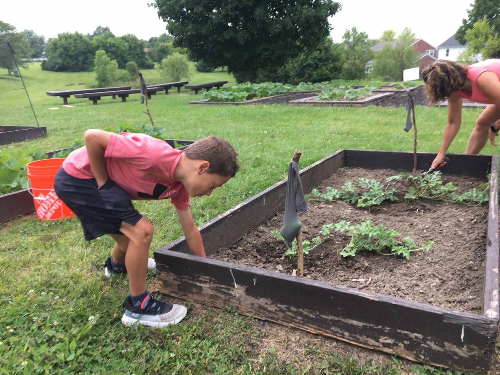 The popularity of school gardens hit a pause last summer during the coronavirus' major spikes but now as the pandemic fades the gardens are again busy for students and their families. The campus gardens - like this one at Lakota's Heritage Elementary - are used for hands-on teaching of biology, science and mathematics as well as food preparation in the early fall as students harvest and eat their vegetables, say local teachers. (Photo By Michael D. Clark\Journal-News)