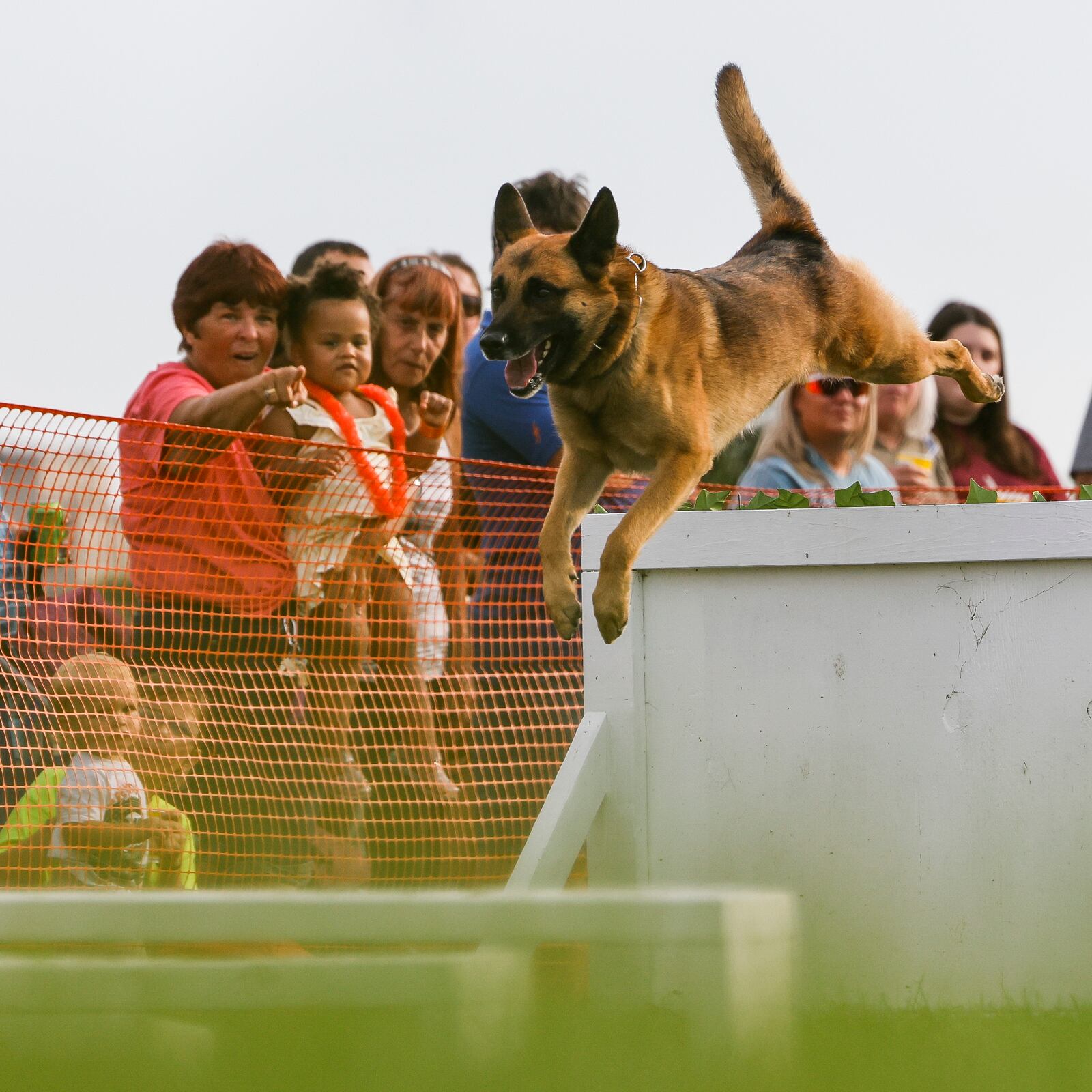 Middletown police canine, Maverick, does a demonstration during Middletown Division of Police National Night Out event Tuesday, Aug. 2, 2022 at Smith Park. There were police k-9 and swat demonstrations, CareFlight helicopter, dunking booth, free food from Gold Star Chili and Kona Ice, bouncy houses, vendors and more. NICK GRAHAM/STAFF