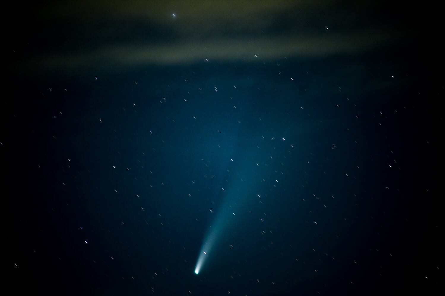 NEOWISE comet visible in the night sky