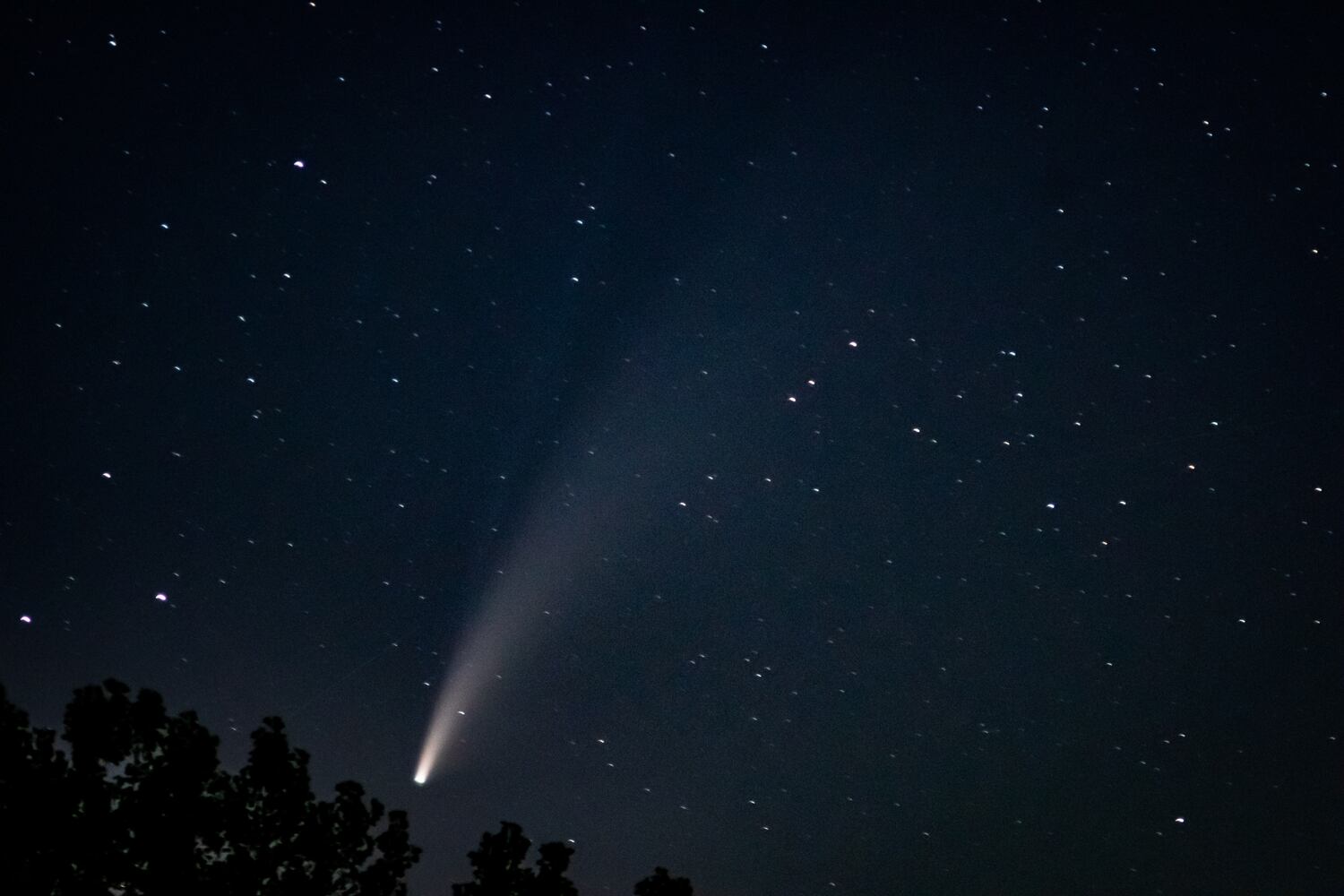 NEOWISE comet visible in the night sky