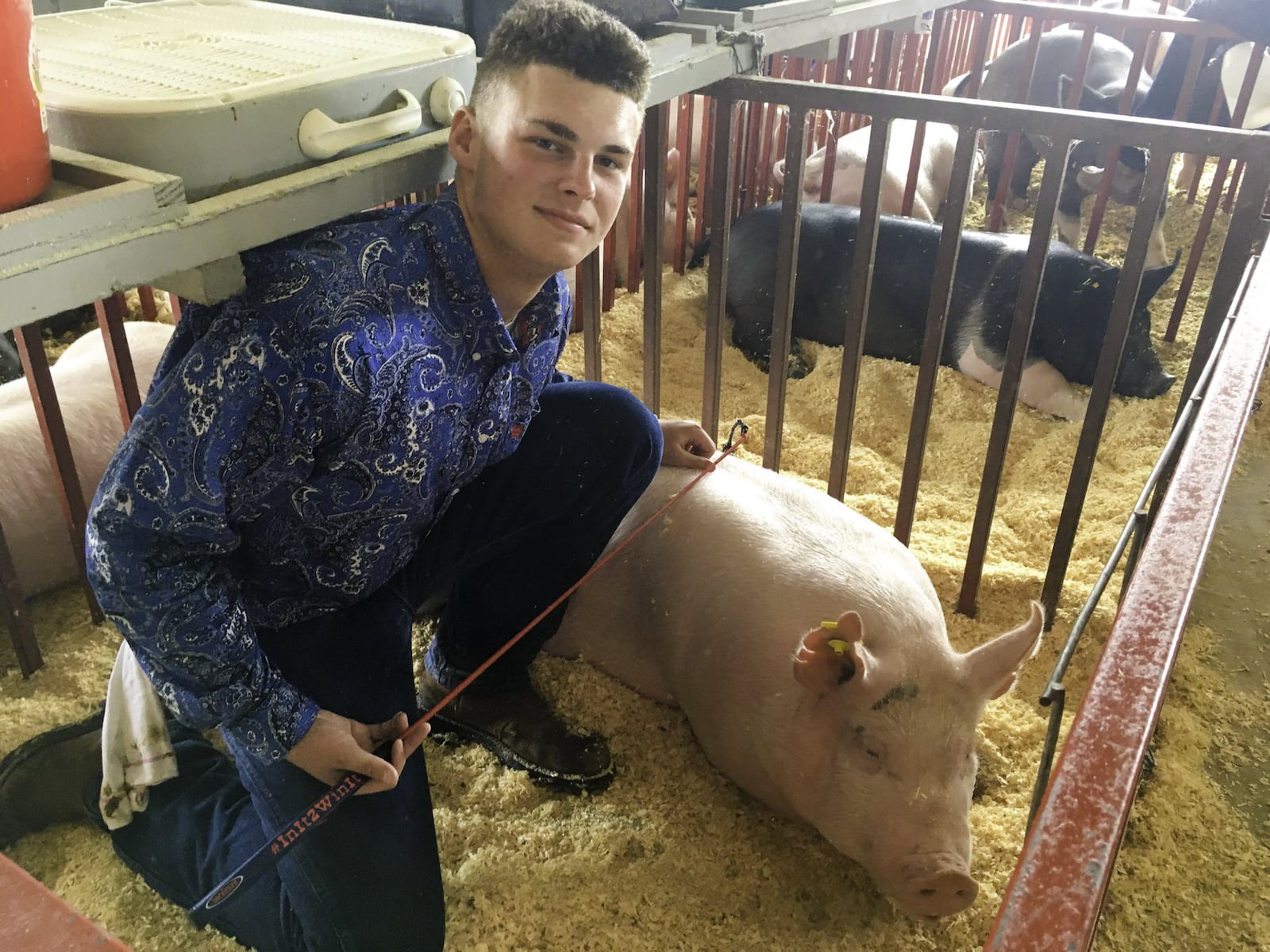 Butler County Fair King Dalton Norris, 16, of Oxford, with his hog, Chicken Fried Steak, at the fair on Monday, July 23. 