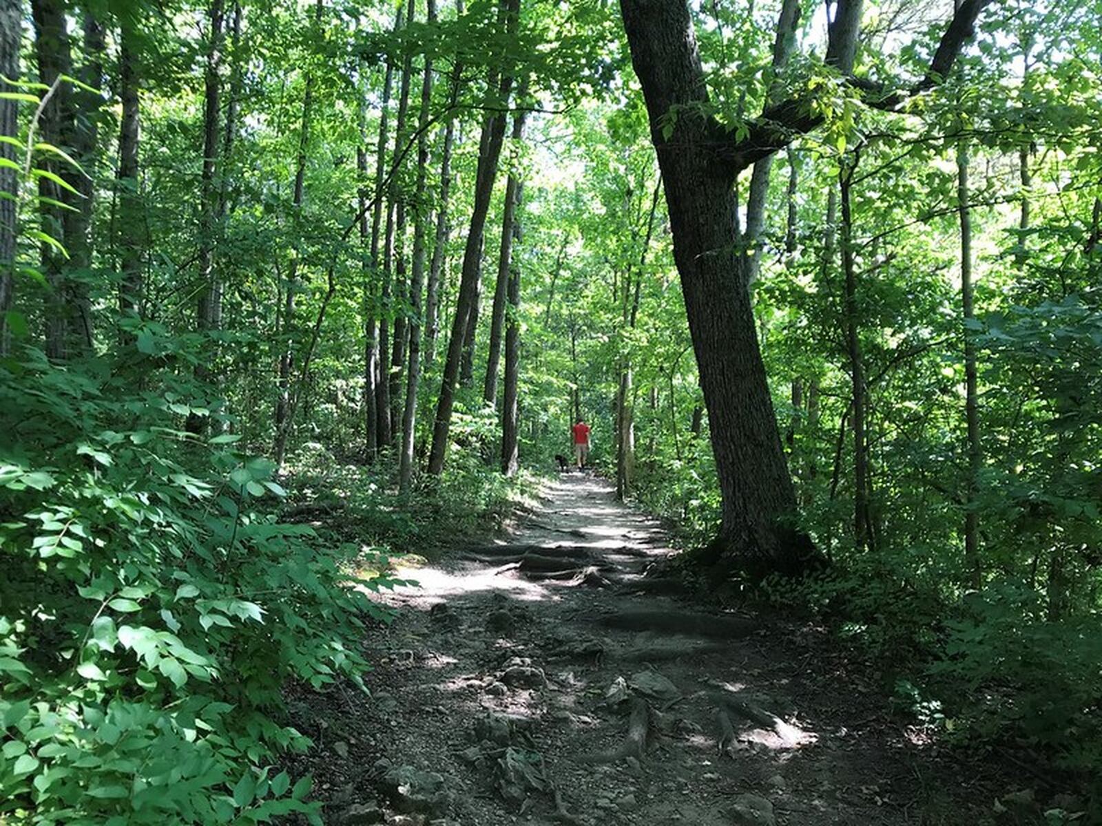 John Bryan State Park packs a lot of beauty into its compact 752 acres. A portion of the gorge is even designated as a national natural landmark and the park s 10 different trails skirt the scenic feature. CONTRIBUTED