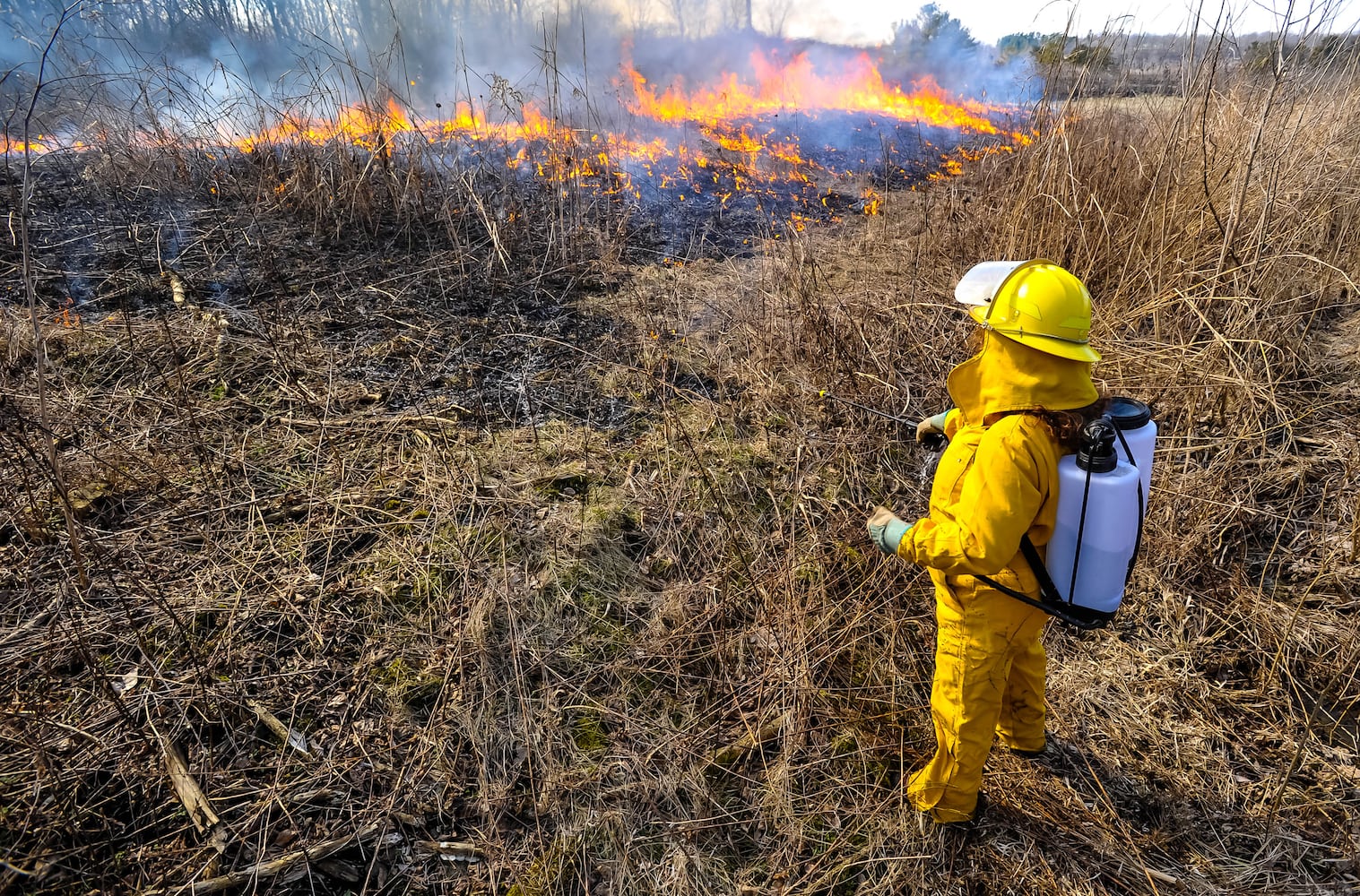 Controlled burns at Riverside Natural Area in Hamilton