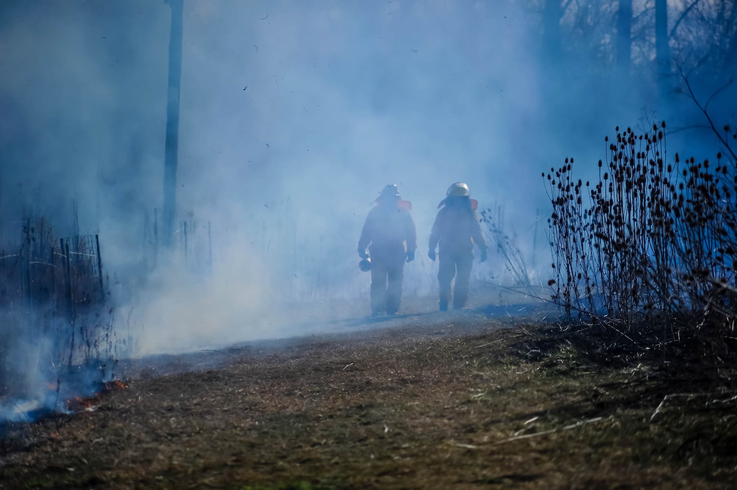 Controlled burns at Riverside Natural Area in Hamilton