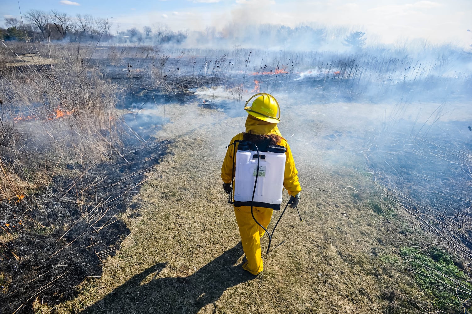 Controlled burns at Riverside Natural Area in Hamilton