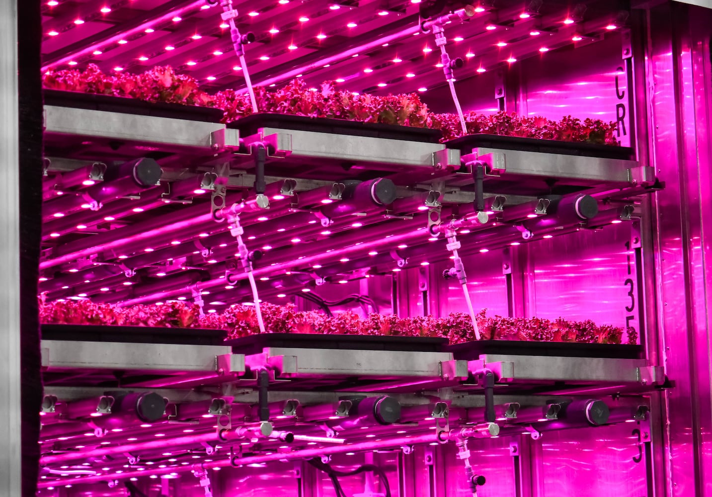 80 Acres Farm indoor grow facility in Hamilton