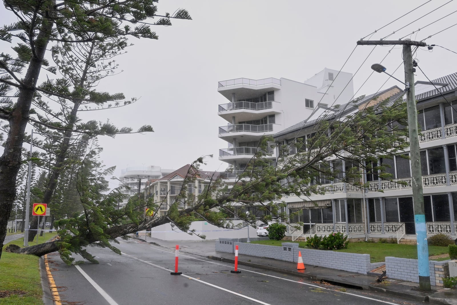 A tree is fallen over power lines at Labrador following Cyclone Alfred on the Gold Coast, Australia, Saturday, March 8, 2025. (Dave Hunt/AAP Image via AP)