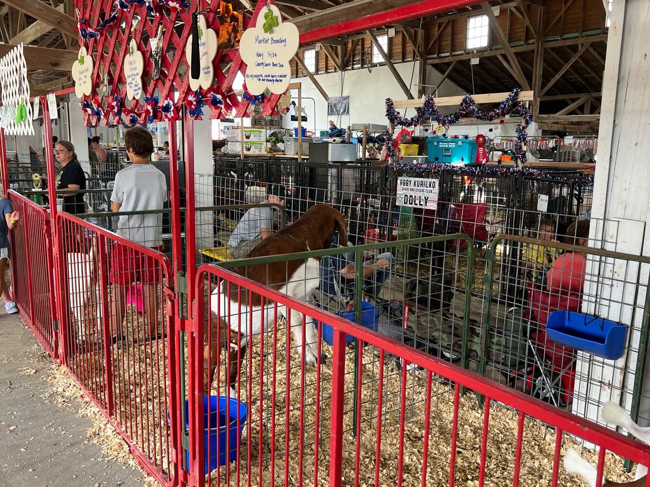 Warren county fair 2024